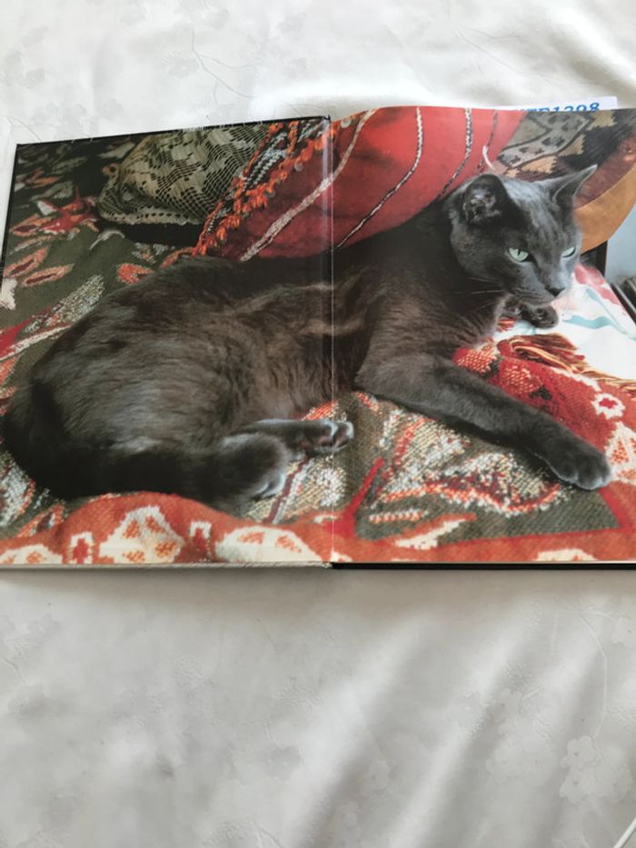 Le Chat et nous - photo numéro 8