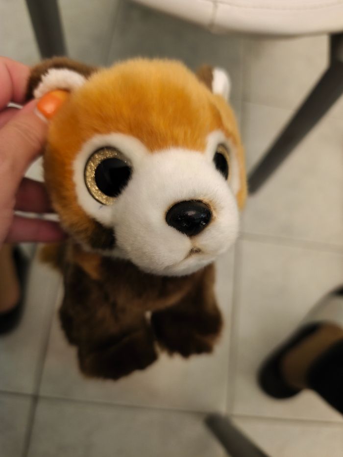 Peluches - photo numéro 5