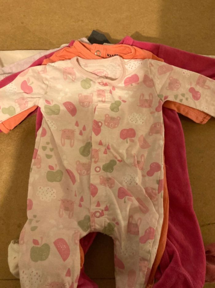 Grenouillère - photo numéro 6