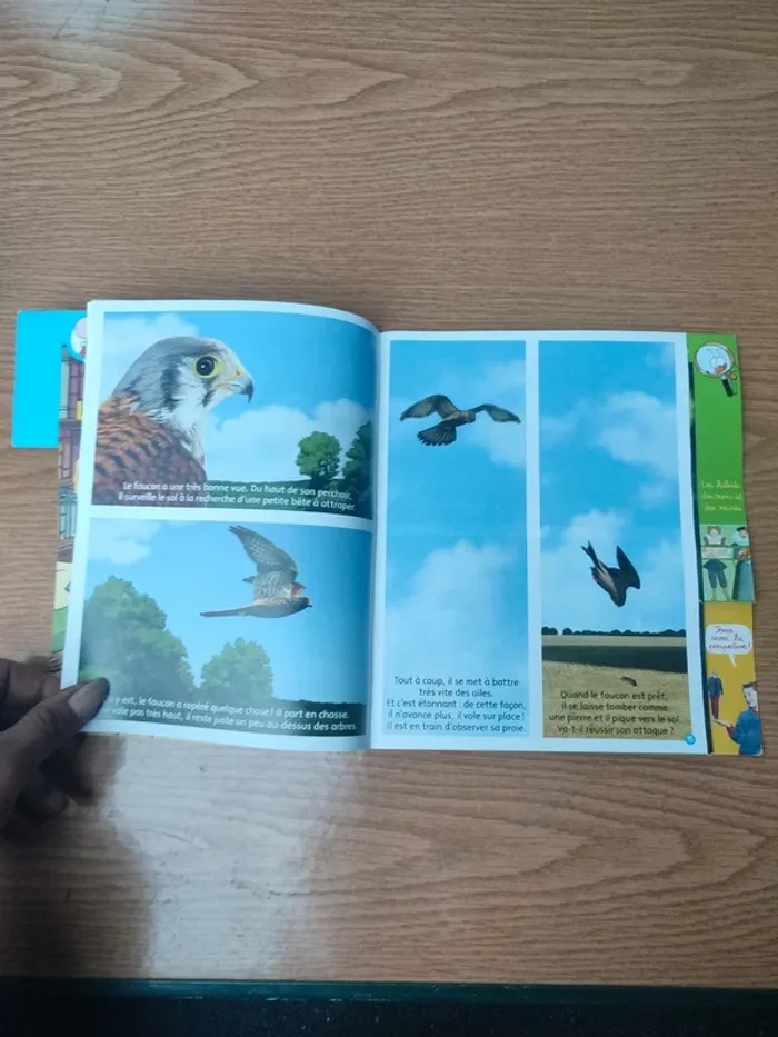 Livre youpi François 1er - photo numéro 12