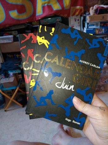 Lot 3 livres calendrier girl juin juillet août pas de vinted go lire description