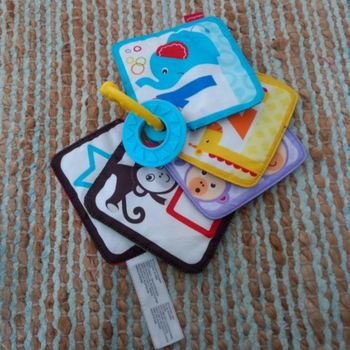 Carte livre tissus fisher price