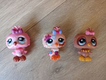 Hiboux chouettes Little Pet Shop