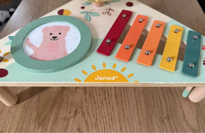 Jouer instrument Janod - photo numéro 2
