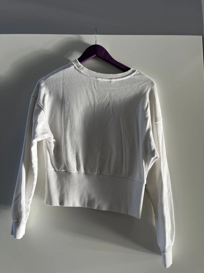 Pull court - photo numéro 2
