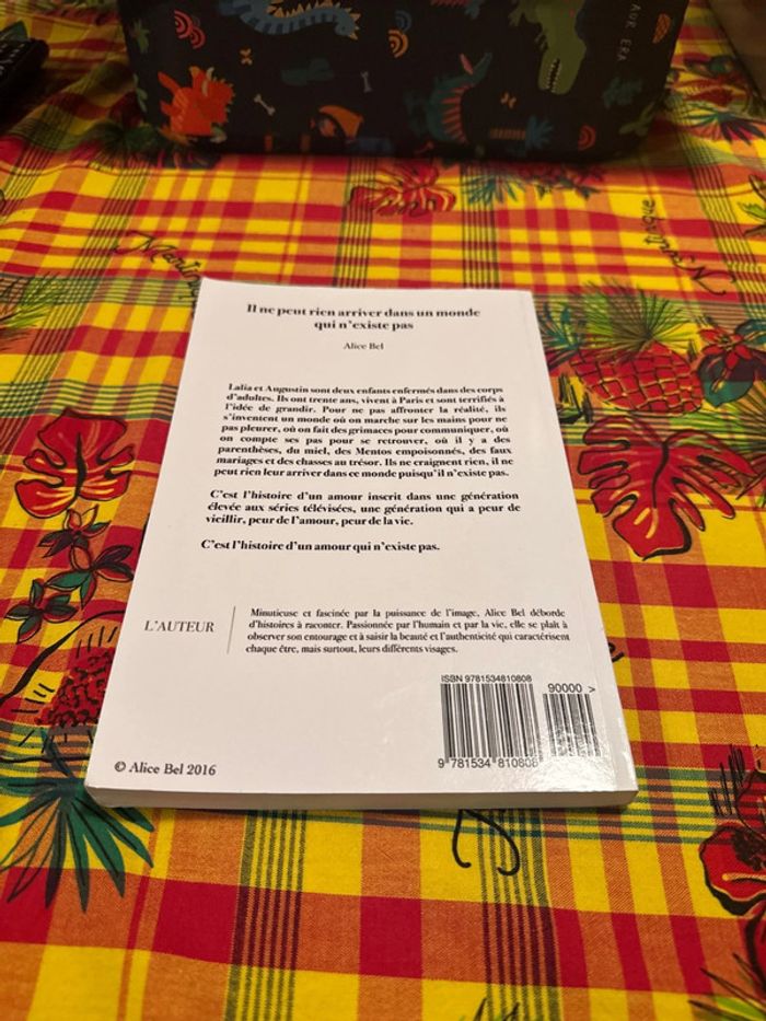 Llvre il ne peut rien arriver dans un monde qui n’existe pas - Alice bel - photo numéro 6