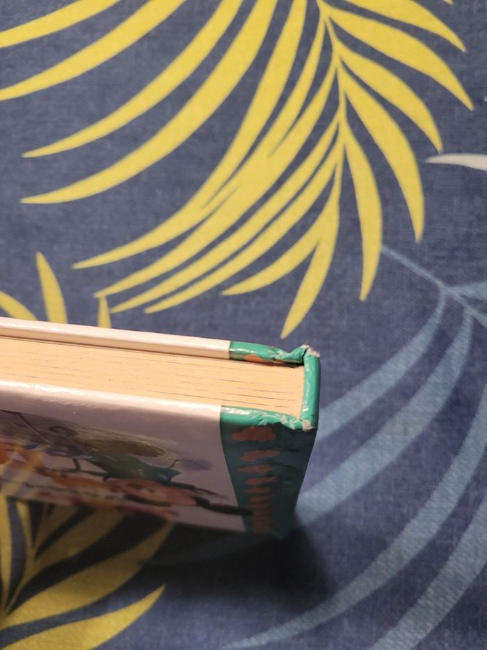 Livre p'tit mickey vétérinaire disney - photo numéro 5