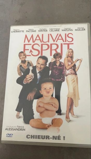 Mauvais esprit