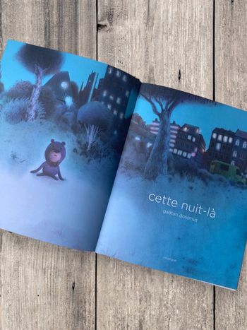 Livre enfant Cette nuit-là – Gaëtan Dorémus, Éditions du Rouergue, 48 pages, très bon état, cartonné