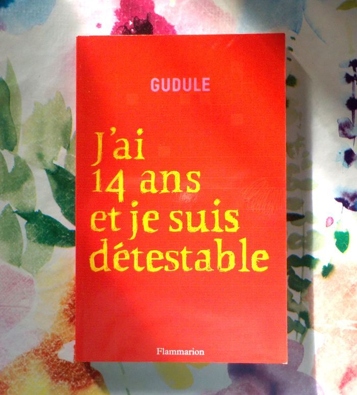 J AI 14 ANS ET JE SUIS DETESTABLE de GUDULE Ed. Flammarion - photo numéro 1