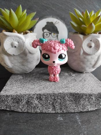 Littlest Petshop Pet Shop LPS dog chien caniche poodle 1956  #geektradelpschien