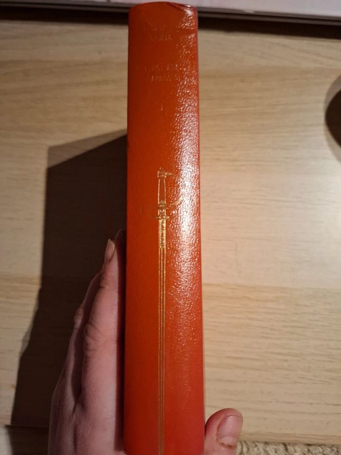 Vingt ans après tome 1 - photo numéro 3