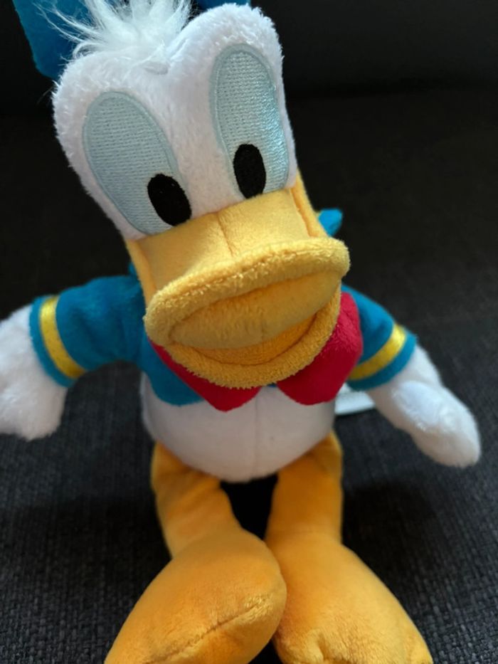 Donald - photo numéro 4