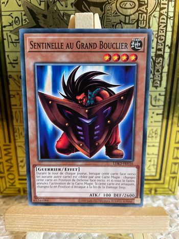 LDK2-FRY16 - Sentinelle au Grand Bouclier - Yu-Gi-Oh!