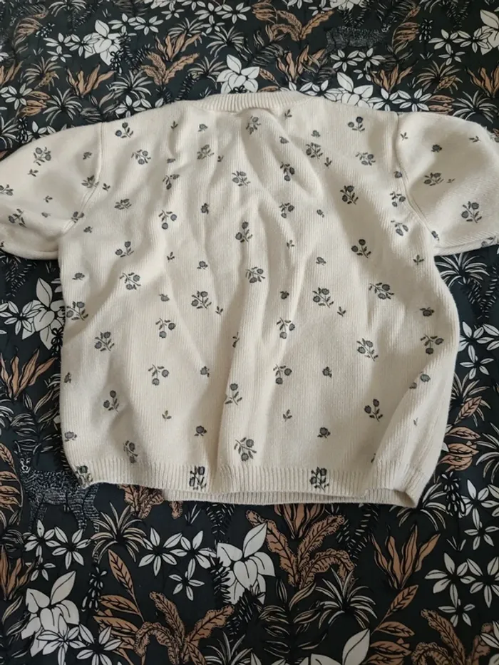 Pull manches courtes fleurs bleues Zara 104cm - photo numéro 5