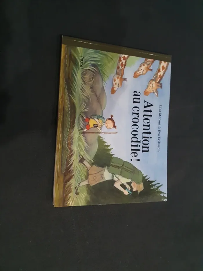 Libre Attention au crocodile 🐊