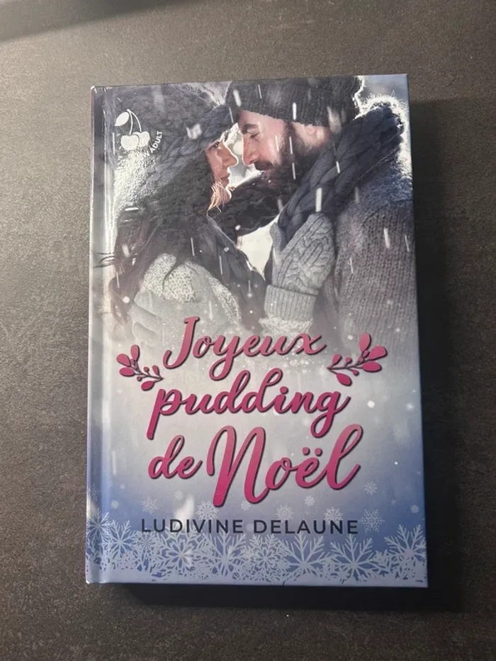 Livre joyeux pudding de noël