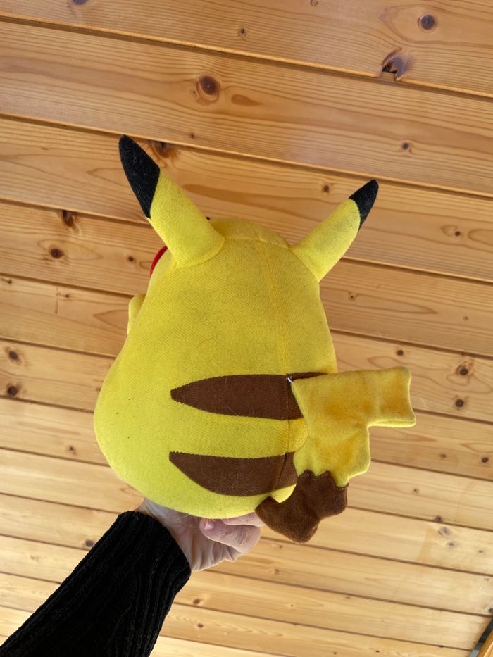 Pokémon - photo numéro 2