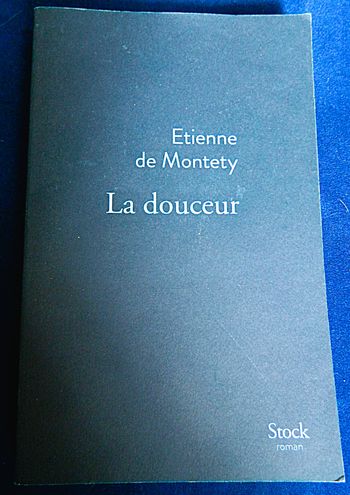 Etienne de Montety /La douceur