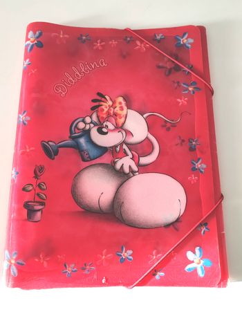 Pochette DIDDL