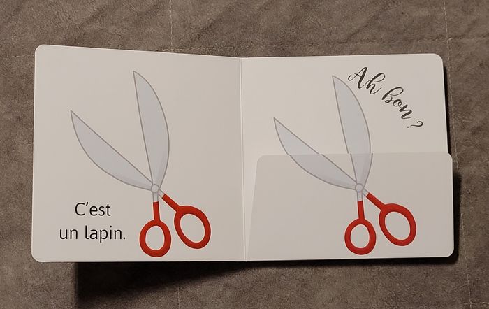 C'est un lapin par Heath McKenzie - photo numéro 2