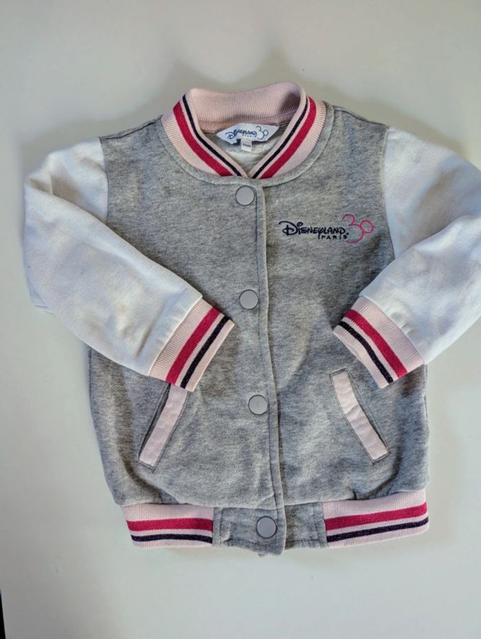 Veste sweat coton gratté manteau Disneyland Paris Minnie 3 ans