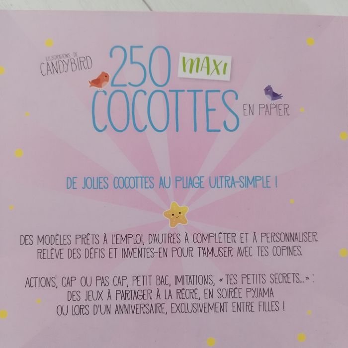 Livre 250 maxi cocottes en papier - photo numéro 4
