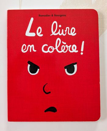 Livre enfant : le livre en colère 