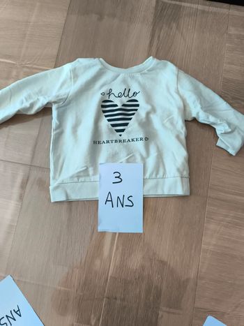 Pull épais