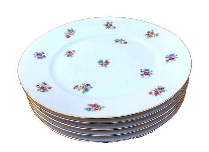 5 assiettes plates anciennes  Porcelaine P.N France - photo numéro 8