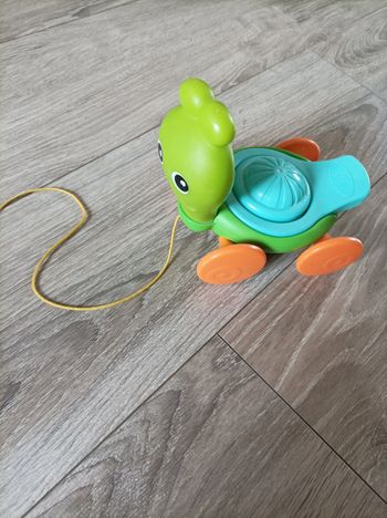 Tortue à tirer