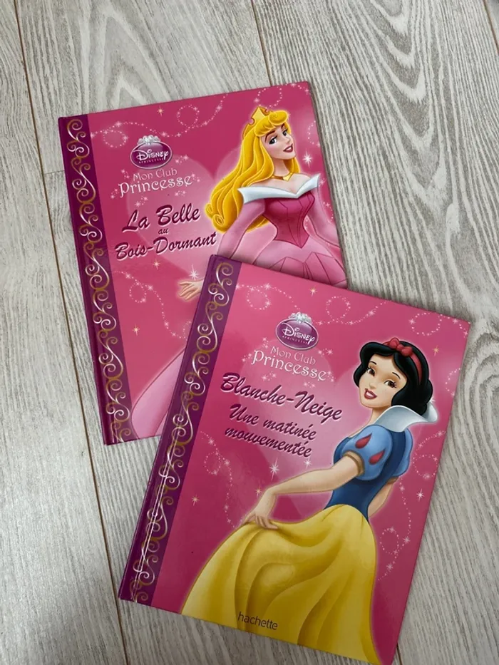 Lot 2 livres princesses Disney
