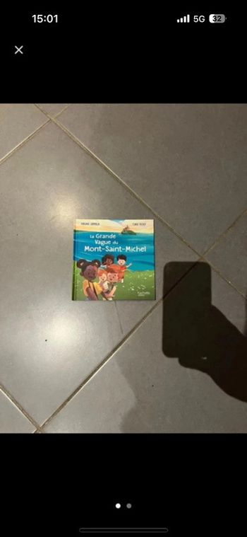 Livre / Album - Merveilles de France - La grande vague du Mont-Saint-Michel - Virginie Grimaldi