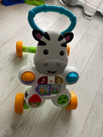 Zèbre marcheur à pousser