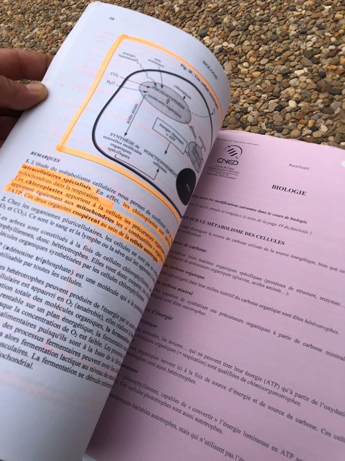 Livres biologie - photo numéro 3