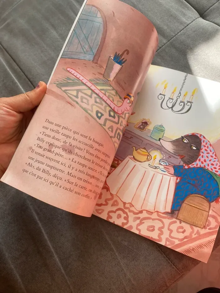 Livre billy cherche un trésor - photo numéro 4
