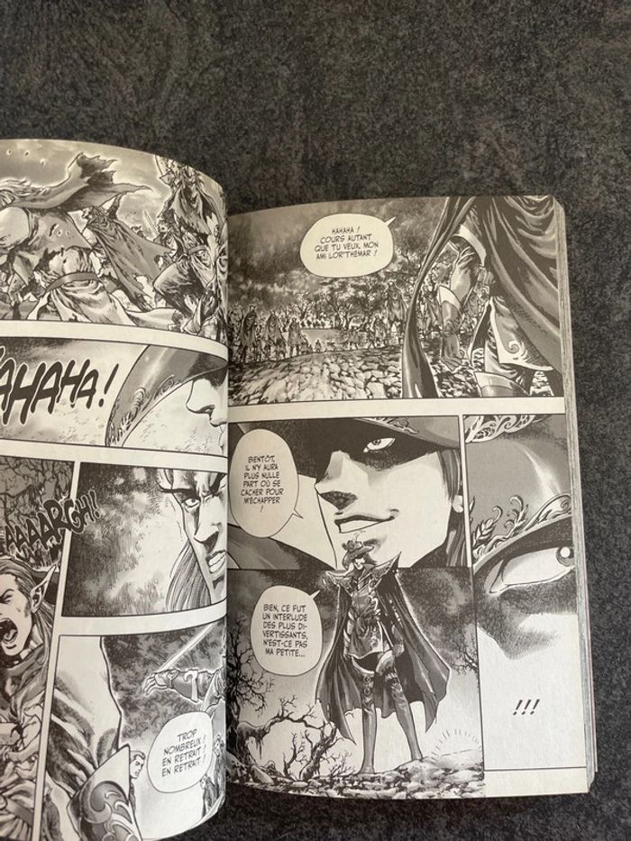 Manga Warcraft le puits solaire - photo numéro 3