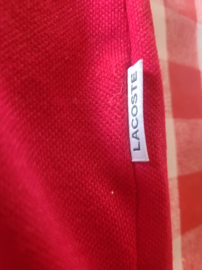 Polo Lacoste - photo numéro 5