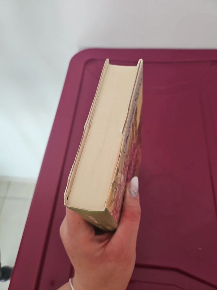 Livre "Le printemps de ce monde" - photo numéro 3