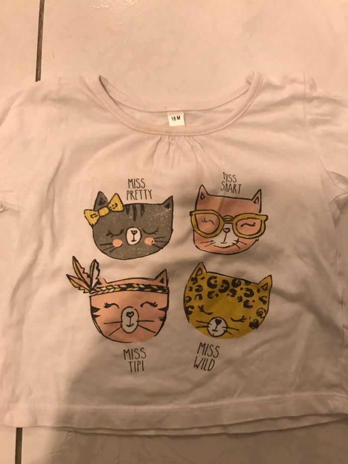 Tee shirt manches longues chats