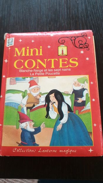 Livre blanche neige et les sept nains