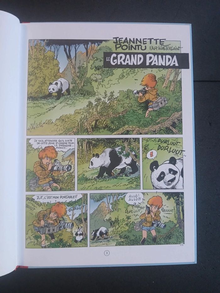 Bd Jeannette pointu 14,EO - photo numéro 6