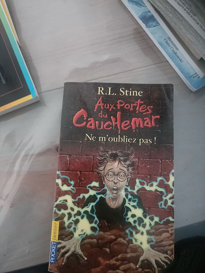 Livre chair de poule - photo numéro 7