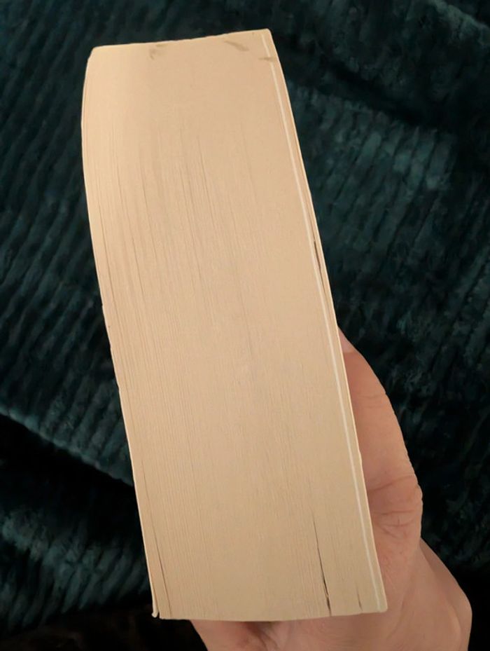 Livre La vérité sur l'affaire Harry Quebert - photo numéro 4