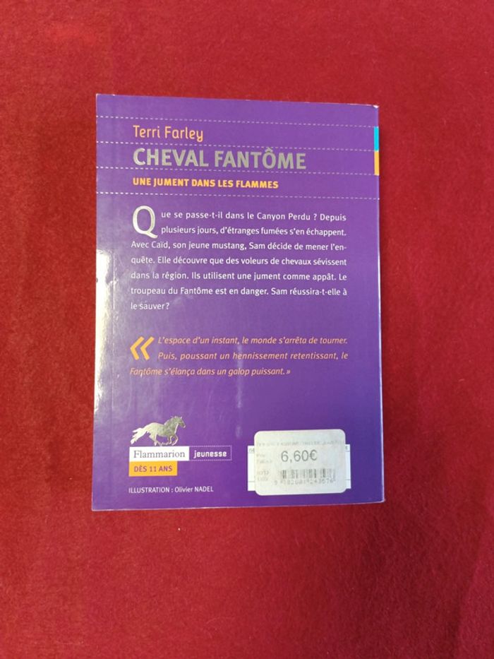 Cheval fantôme Tome 3 " Une jument dans les flammes " Terri Farley - photo numéro 13