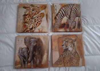 Lot de 4 cadres décoratifs