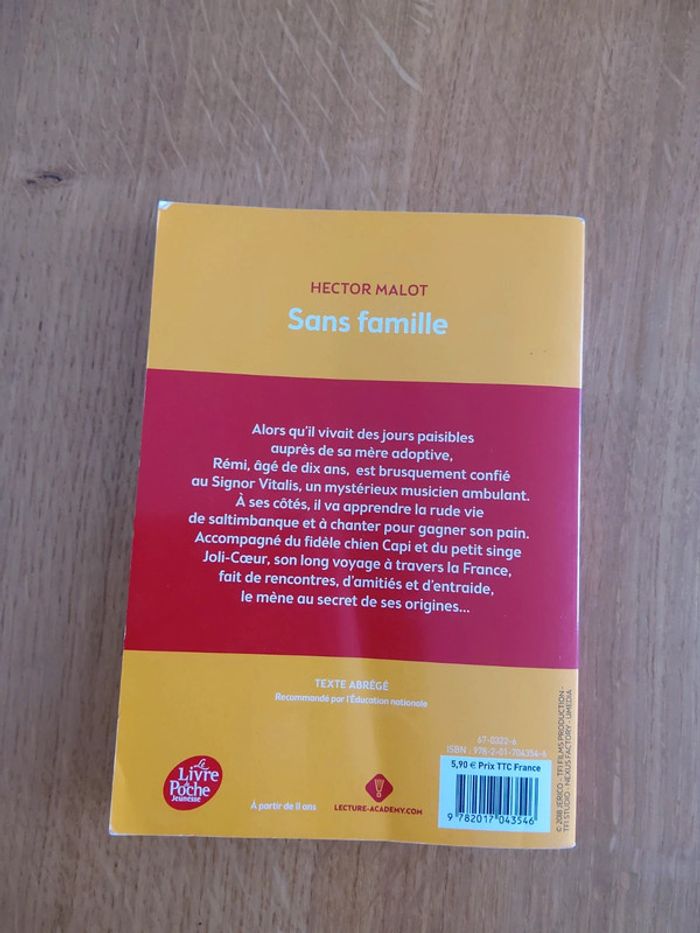 Livre Sans Famille - photo numéro 3