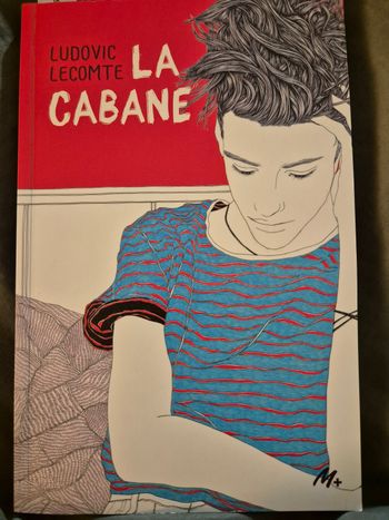 Livre La Cabane Ludovic LECOMTE M+ L'école des Loisirs