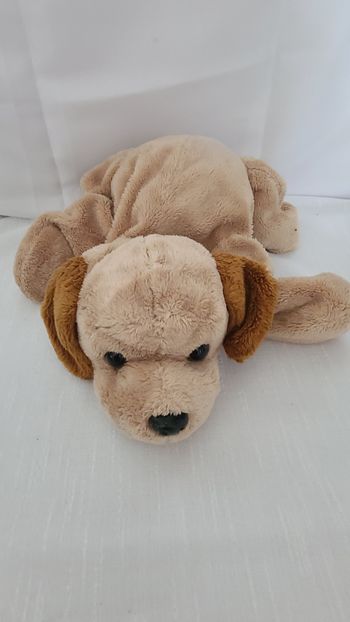 Doudou peluche chien beige allonge 30 cm SOFT FRIENDS