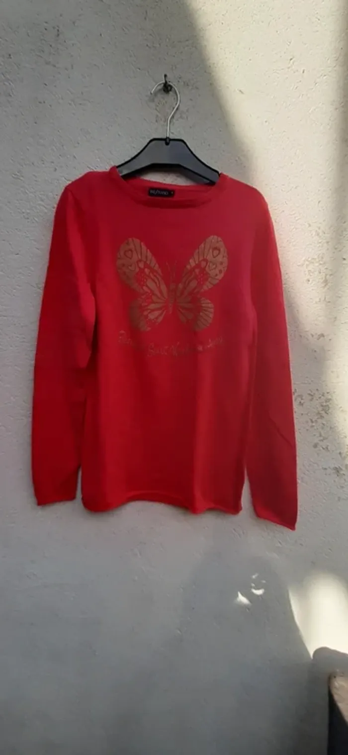Robe ou pull long papillon manches longues 14 ans - photo numéro 4
